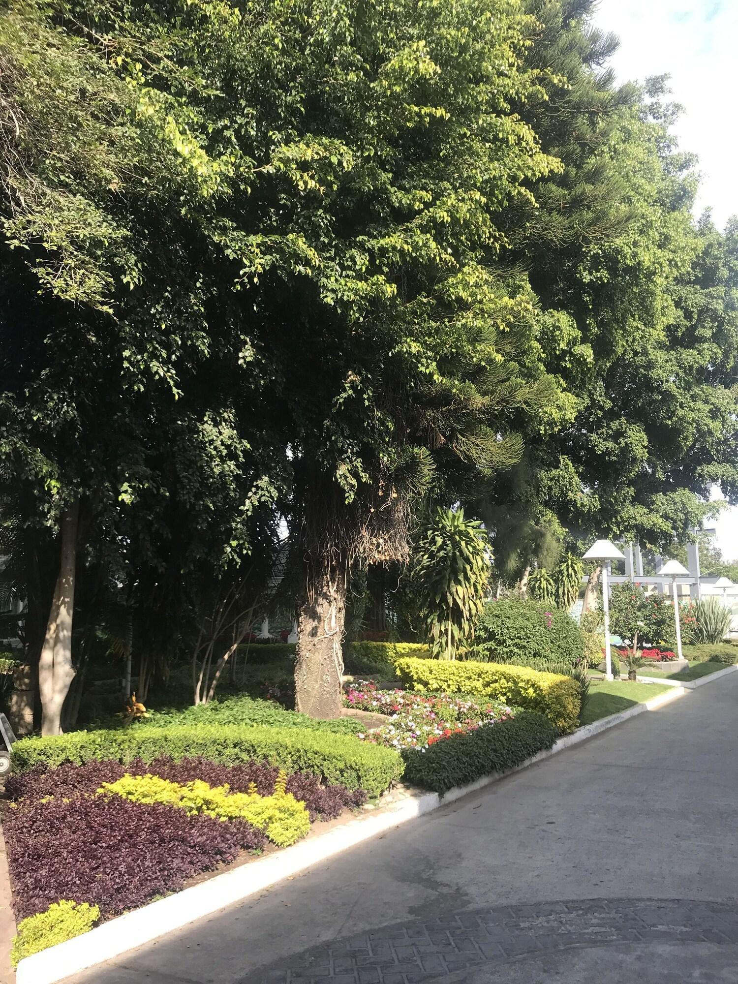 Hotel Ronda Minerva - Arborea Guadalajara Buitenkant foto